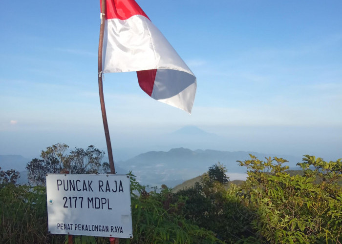 Gunung di Pekalongan Ini Pernah Aktif Jutaan Tahun yang Lalu, Begini Sejarah Gunung Rogojembangan