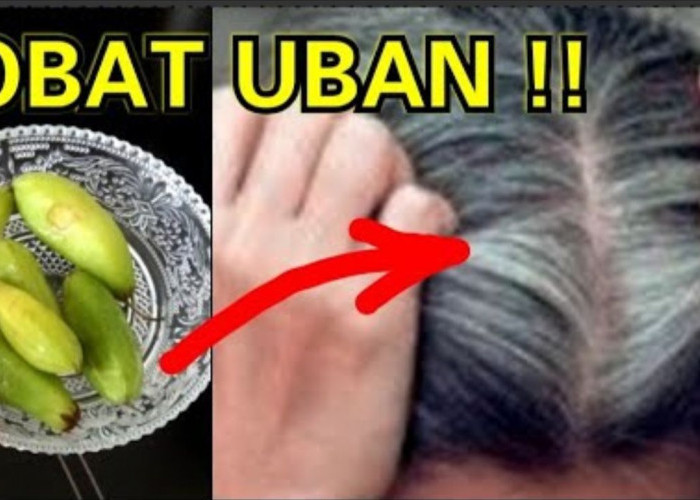 3 Cara Membuat Racikan Penghitam Rambut, Cuma Pakai 1 Bahan Ini Bikin Uban Hilang dan Awet Muda Lagi