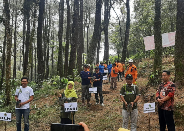 Dakwah Sembari Jaga Alam, Penyuluh Agama di Batang Tanam Sejuta Pohon