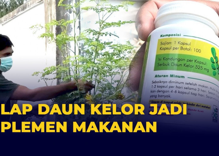 Para Pria Wajib Baca! Ini 3 Manfaat Daun Kelor untuk Pria, Cegah Penyakit dan Jaga Kesehatan