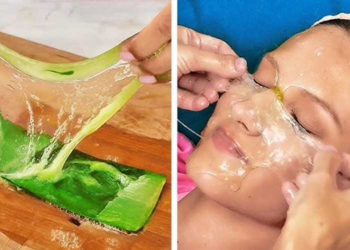 DIY Lidah Buaya untuk Cegah Kulit Kendur, Rahasia Wajah Glowing dan Awet Muda di Usia 40