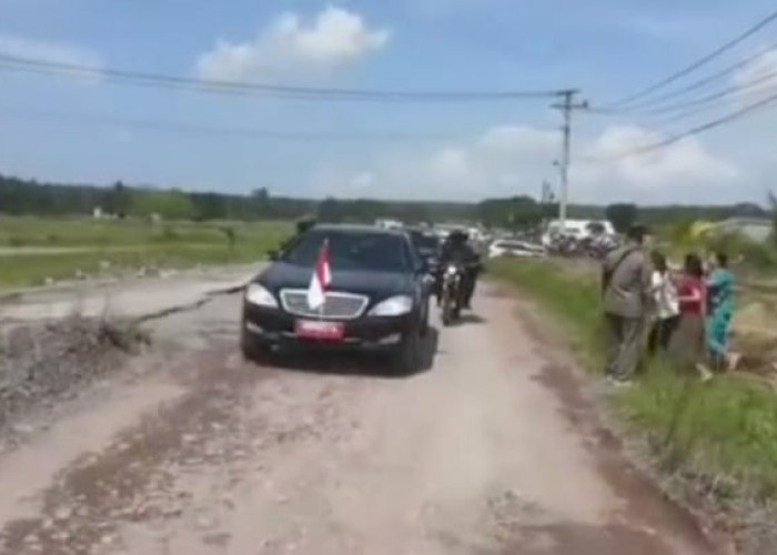 Viral, Presiden Jokowi Off Road di Lampung dan Mobil Indonesia-1 Sempat Nyangkut di Jalan Rusak