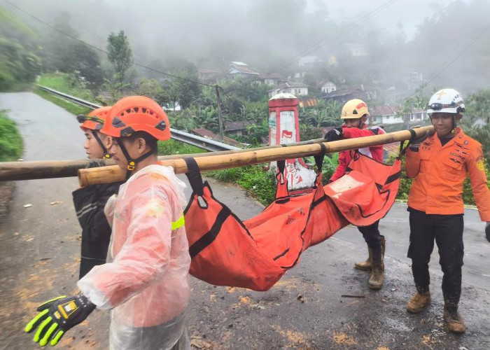 Hujan dan Berkabut, Jalur Ekstrem dan Berlumpur, Ini Cerita Tim SAR Evakuasi Korban Longsor Petungkriyono