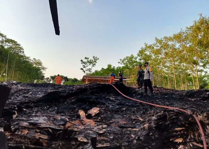 Diduga Korsleting Listrik, Depot Kayu di Kajen Terbakar