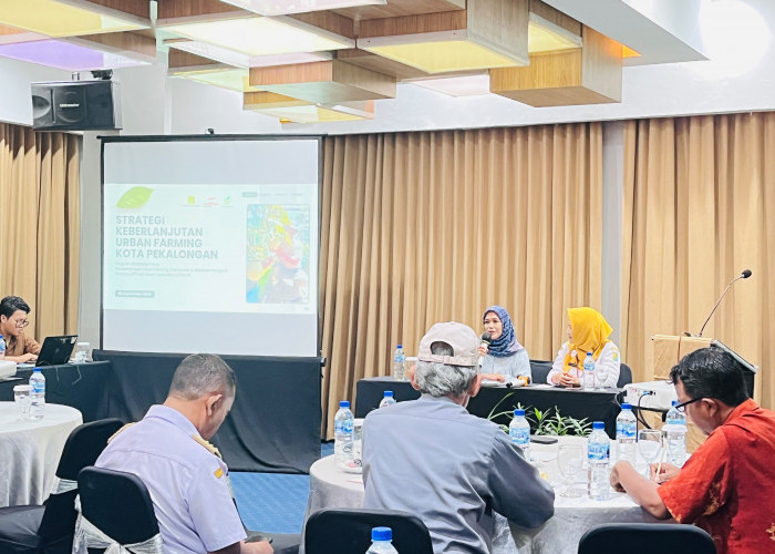 Urban Farming Pekalongan Mulai Naik Kelas, Kelompok Didorong Perkuat Produksi dan Pasar