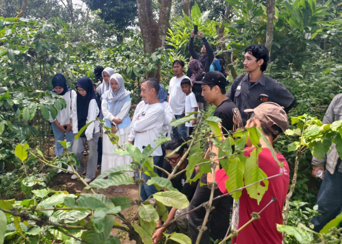 Yamaha Classy HangoutDay Kudus, Daela: Excited Banget, Bisa Petik Kopi dan Belajar Racik Kopi Sendiri