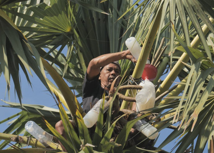 Desa Hendrosari Bangkit: Pembeli Datang, UMKM Tumbuh, Ekonomi Melaju Berkat Pemberdayaan Desa BRILian