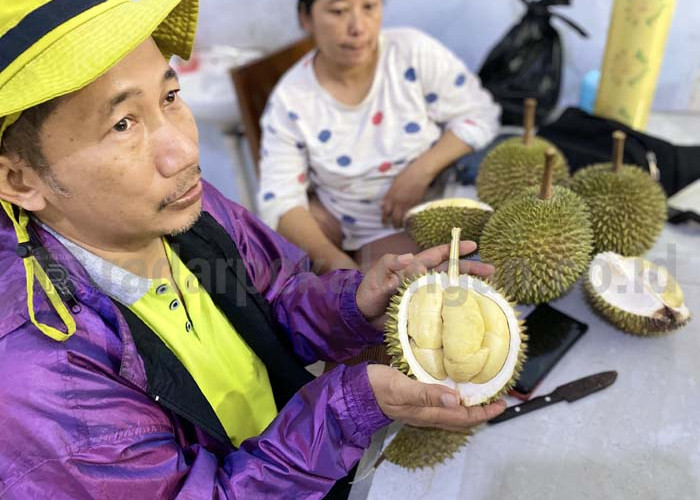 Lezatnya Durian Milky, Durian Lokal Batang Bercita Rasa Unggul