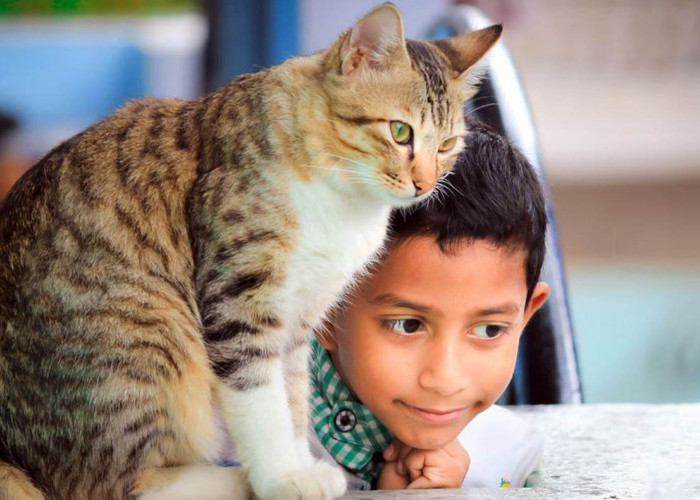 Jadi Panutan Para CatLover, Inilah Sahabat Nabi Muhammad yang Suka Kucing Sampai Dijuluki Bapaknya para Kucing