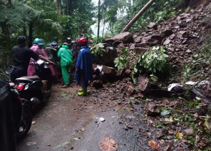 Guru Terjebak Longsor Kroyakan Usai Mengajar, Perjuangan Menembus Jalur di Tengah Hutan Doro–Petungkriyono
