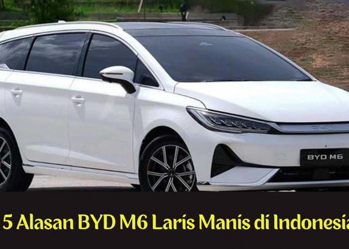 Dikenal Sebagai Mobil Listrik Keluarga Idaman? Inilah 5 Alasan BYD M6 Laris Manis di Indonesia