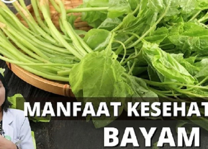 Inilah Sederet Manfaat Bayam untuk Kesehatan, Mulai dari Mencegah Anemia sampai Mencegah Kanker