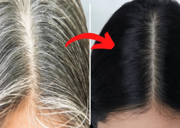 4 Shampo Penghitam Rambut di Apotik, Usir Uban Tanpa Perlu Dicabut Bikin Rambut Hitam Permanen Gak Pakai Lama