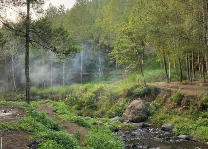 Dijamin Menyenangkan, 5 Tempat Wisata Alam di Malang Ini Cocok untuk Liburan Bareng Buah Hati! 