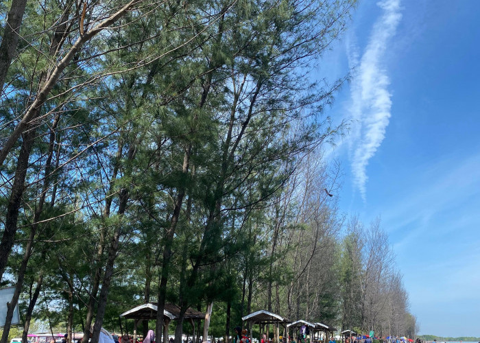 Libur Tahun Baru 2026, Pantai Wonokerto Kabupaten Pekalongan Dibanjiri Wisatawan