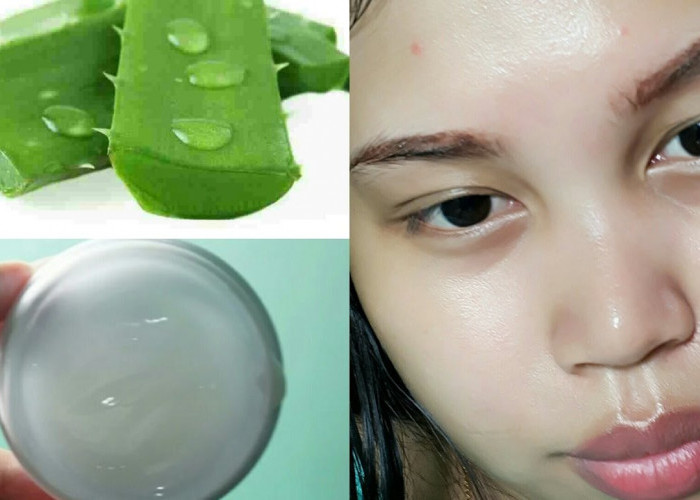 3 Cara Membuat Masker Lidah Buaya Agar Wajah Glowing dan Putih, Kulit Bebas Noda dan Pori-Pori Terbuka