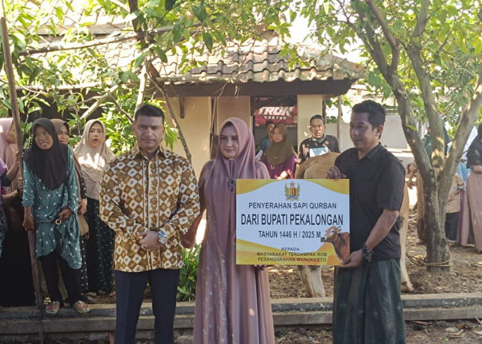Bupati Pekalongan Fadia Arafiq Serahkan Hewan Kurban Untuk Warga Terdampak Rob di Siwalan dan Wonokerto