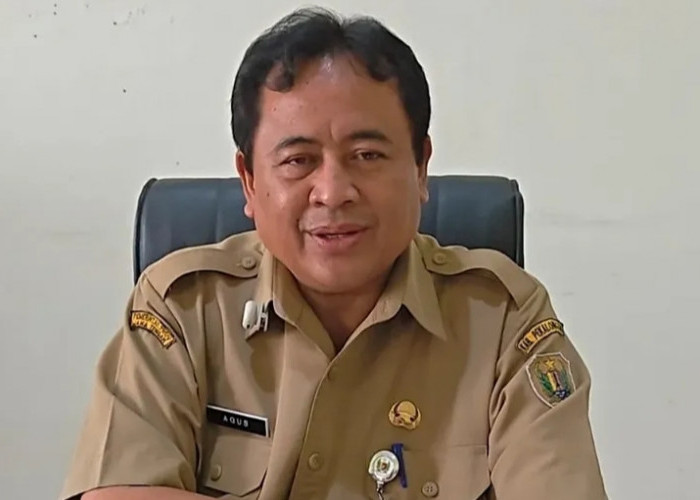 BPBD Kabupaten Pekalongan Waspadai Tanggul Jebol, Wilayah Tirto Jadi Perhatian Jelang Musim Hujan