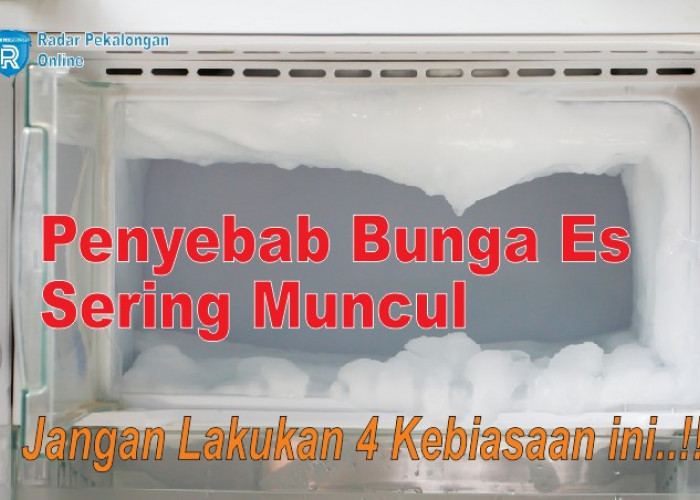 Kenapa Kulkas Tiba-tiba Ada Bunga Es? Ternyata 4 Kebiasaan Ini Jadi Penyebab Kulkas Sering Muncul Bunga Es!