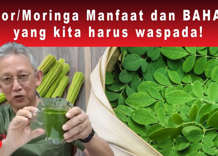 Ternyata Berbahaya! Ini 3 Efek Samping Teh Daun Kelor, Apakah Kamu Merasa Efek Ini?