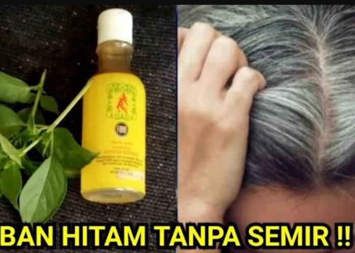 4 Cara Menghitamkan Rambut Uban Supaya Ga Tumbuh Lagi, Atasi Uban Hingga Ke Akar Hasil Hitam Permanen