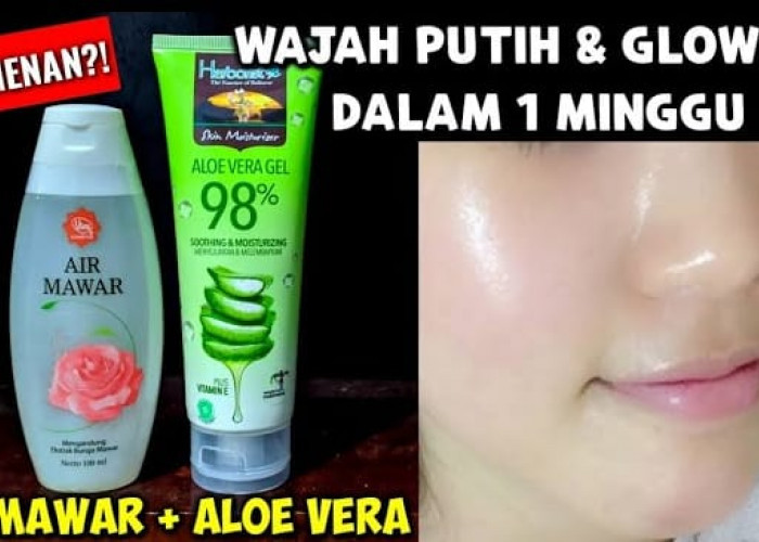 Ternyata, Masker Lidah Buaya dan Air Mawar Efektif Hilangkan Flek Hitam, Begini 5 Cara Buatnya!