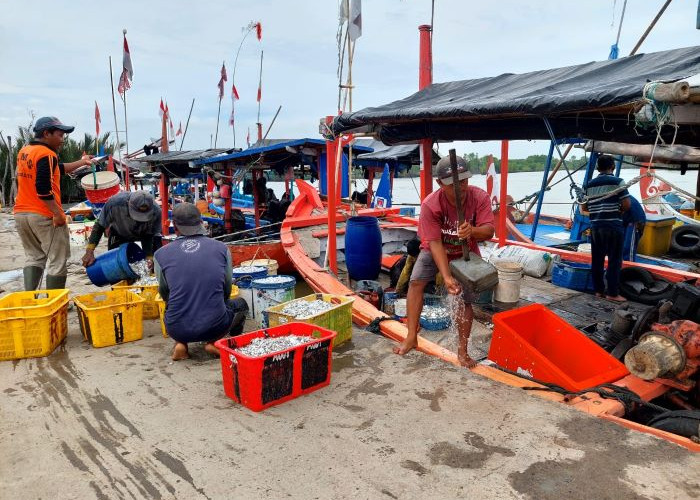 Ironi MBG di Kabupaten Pekalongan: Potensi Ikan Melimpah, Tapi Masuk Menu Masih Rendah