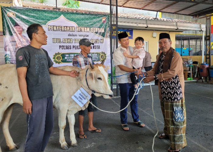 Tebar Kepedulian Iduladha 1447 H, Polres Pekalongan Kota Salurkan Hewan Kurban untuk Masyarakat