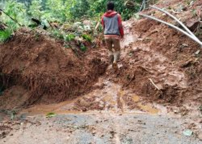 Kerja Sampai Tengah Malam, Alat Berat Diterjunkan Tangani Longsor Jalur Curug Muncar–Songgodadi Petungkriyono