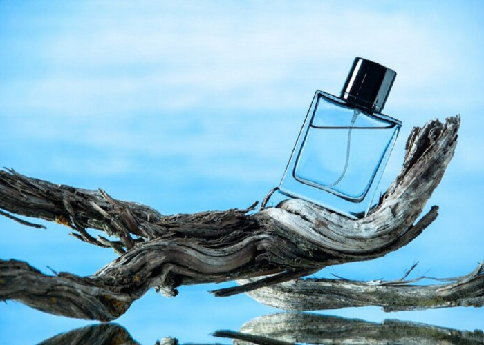 3 Rekomendasi Merek Parfum Pria kalem Tahan Lama, Bikin Badan Makin Berkeringat Making Wangi Sepanjang Hari