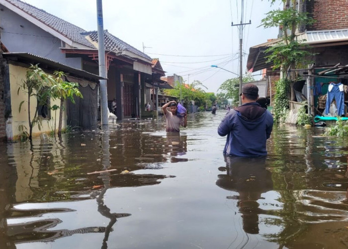 Imbas Tanggul Jebol, Ribuan Rumah Terendam Banjir, Ratusan Warga Pasirkratonkramat Mengungsi