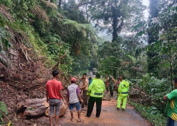 Pohon Besar Tumbang Tutup Jalur Lebakbarang-Karanganyar