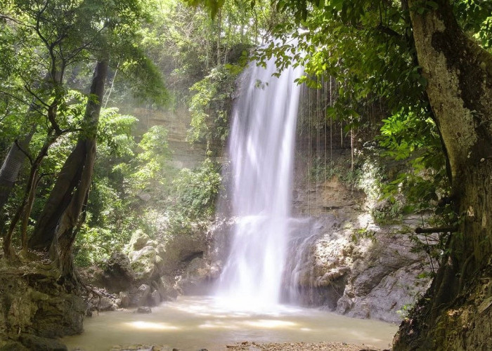 Pesona Jawa Tengah! 5 Destinasi Wisata di  Grobogan yang Lagi Hits, Ada Taman hingga Air Terjun