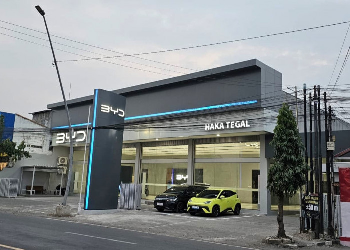 BYD Haka Tegal Hadir, Masyarakat Kini Bisa Beli Mobil Listrik BYD  Lebih Dekat
