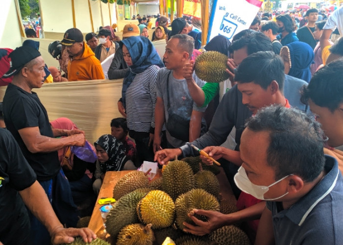 Gelaran Festival Durian Kabupaten Pekalongan, Disambut Antusias Para Petani Durian Lokal