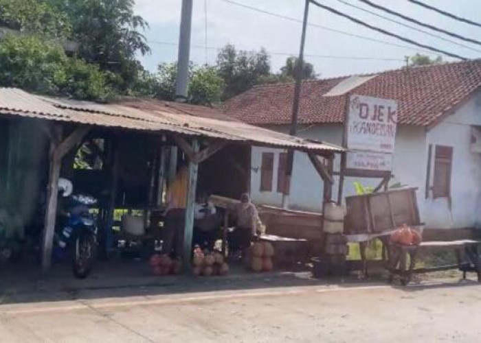 Pedagang Durian 'Celeng' Diminta Dibina agar Tak Rugikan Pedagang Jujur