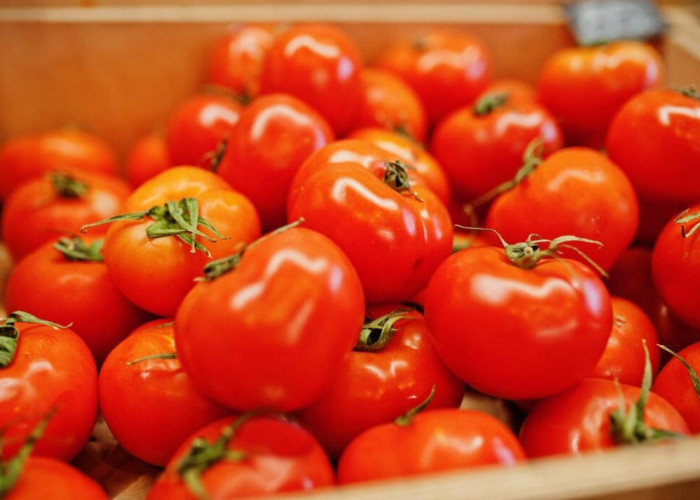 5 Manfaat Makan Tomat untuk Wajah Lengkap Dengan Cara Pakai Biar Wajah Putih dan Glowing Tanpa Noda Hitam