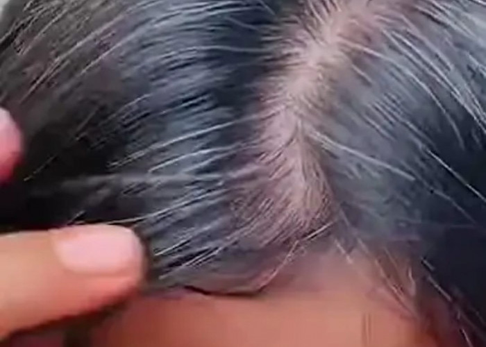 3 Minyak Penghitam Rambut di Indomaret Terbaik yang Ampuh Atasi Uban! Usir Rambut Putih Tanpa Disemir