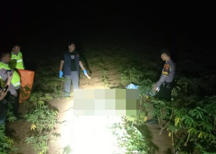 Kakek 82 Tahun Ditemukan Meninggal di Kebun Singkong di Kajen, Usai 2 Hari Hilang