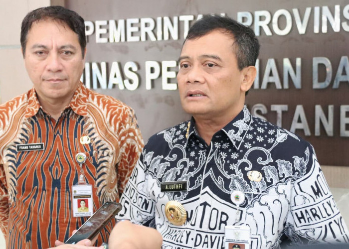 Stok Beras Jawa Tengah Surplus 1,5 Juta Ton, Ahmad Luthfi Ingin Tata Kelola Hasil Panen Diperkuat