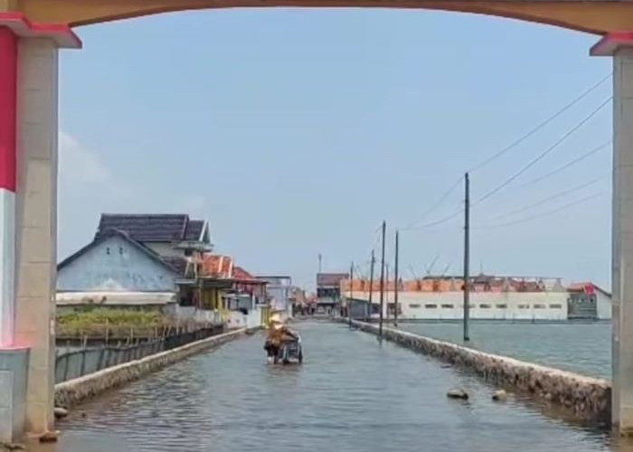 Desa Blacanan di Pekalongan Tahunan Terendam Banjir Rob, Aktivitas Warga Sulit, Ekonomi Terjepit