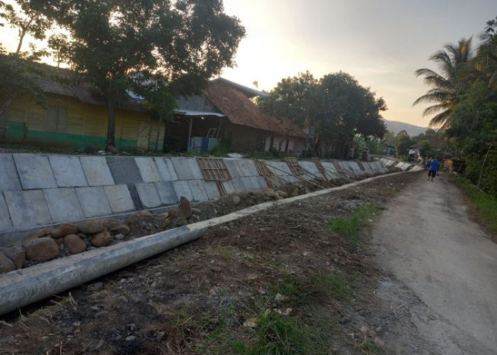 Imbas Proyek Irigasi Provinsi Molor, Musim Tanam Petani di Kabupaten Pekalongan Mundur 2 Bulan