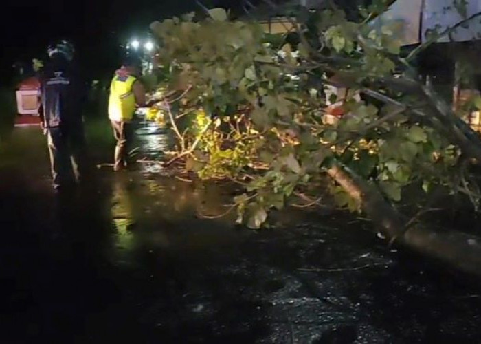 Polsek Sragi dan Warga Evakuasi Pohon Tumbang di Desa Wonosari