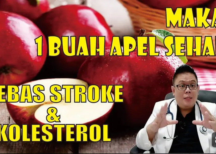 Pola Makan Sehat Konsumsi Buah Apel yang Menyehatkan Jantung dan Tingkatkan Imun Tubuh