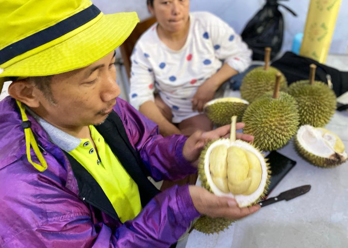 Tak Kalah dengan Durian Pekalongan, Durian Lokal Batang Punya Potensi Menjanjikan