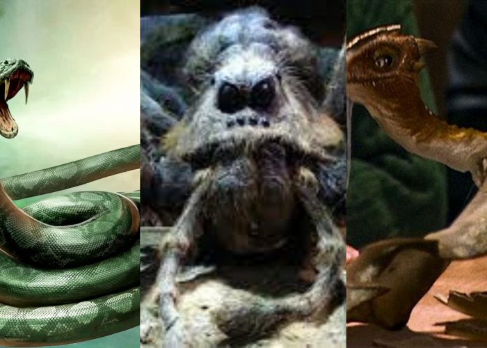 Berbahaya! Ini 3 Binatang Peliharaan Mitologis Harry Potter yang Harus Dihindari