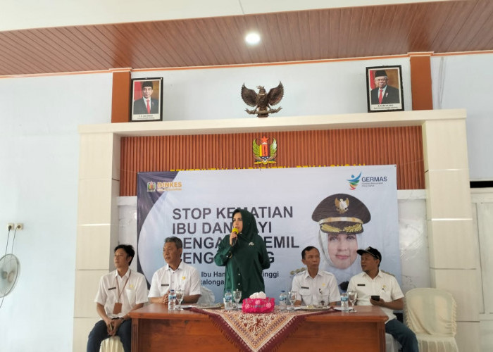 Angka Kematian Ibu Melahirkan Tahun 2024 di Kabupaten Pekalongan Turun Signifikan Dibanding Tahun 2023