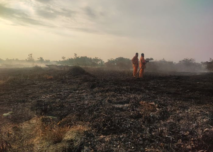 Lahan Dekat Pemukiman di Kayugeritan Pekalongan Terbakar, Emak-emak Histeris