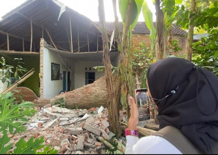 BNPB: 240 Rumah Rusak Terdampak Gempa  4,4 Magnitudo di Batang