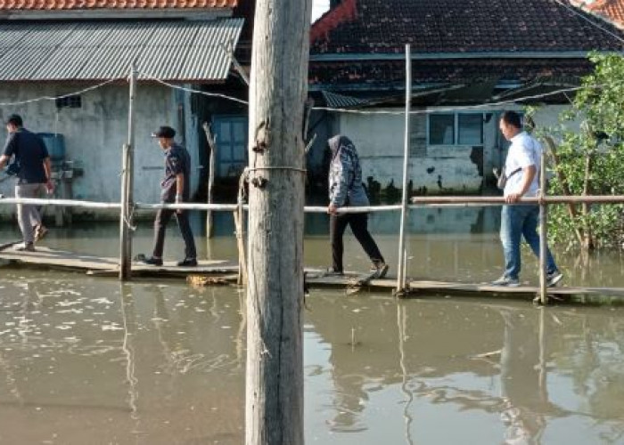 Uji Petik Coklit, Bawaslu Kabupaten Pekalongan Terabas Banjir Rob